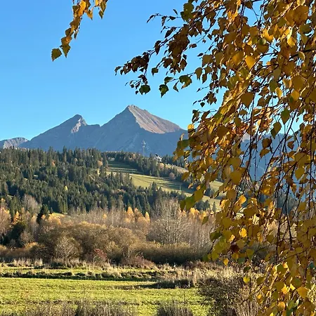 Goralskie Hawran I Muran Z Jacuzzi 샬레 부코비나 타트잔스카